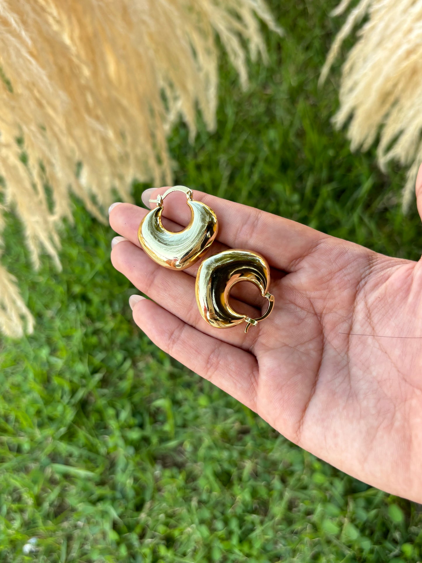 Argollas de picas