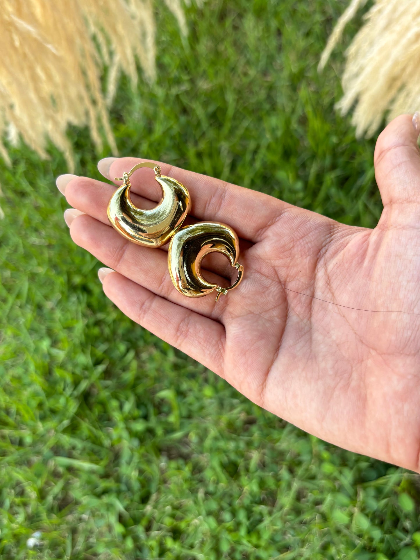 Argollas de picas
